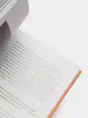 Сюрреализм