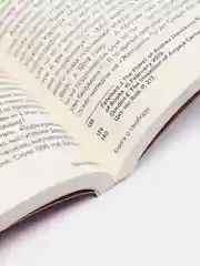 Тело каждого. Книга о свободе, Лэнг О