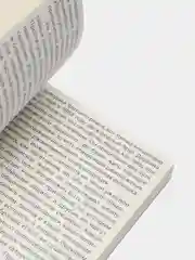 Тело каждого. Книга о свободе, Лэнг О