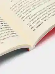 Лето с Монтенем, Компаньон А.