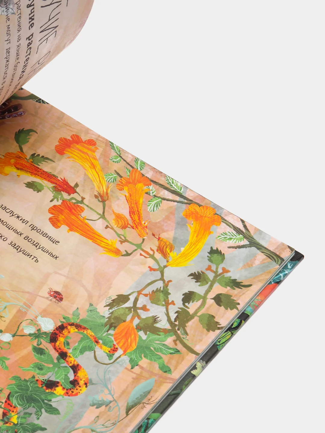 Большая книга цветов