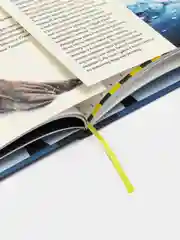 А это Антарктида