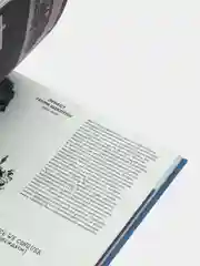 А это Антарктида