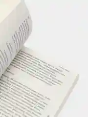 Сады и дороги, Юнгер Э.