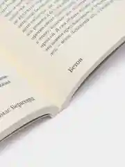 Бетон, Т. Бернхард
