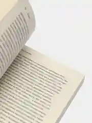 Надзирать и наказывать. Рождение тюрьмы