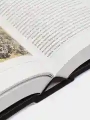 Книга "Искусство с 1900 года: модернизм, антимодернизм, постмодернизм"