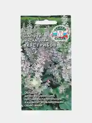Семена Шалфей мускатный "Вкус грибов", Седек