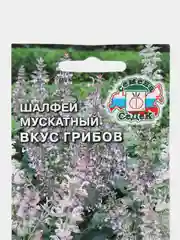Семена Шалфей мускатный "Вкус грибов", Седек