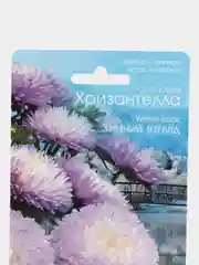 Семена Биотехника ,Астра Хризантелла Зимний взгляд