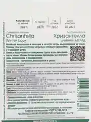 Семена Биотехника ,Астра Хризантелла Зимний взгляд