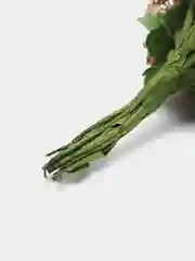 Золотой тычинки для цветов
