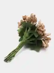 Золотой тычинки для цветов