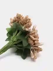 Золотой тычинки для цветов