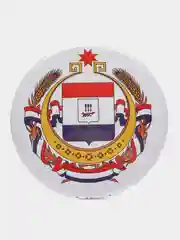 Значок "Герб Республики Мордовия", 56 мм