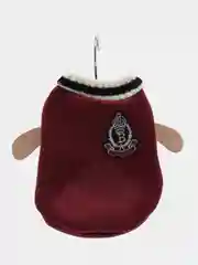 Красный свитер для собак и кошек