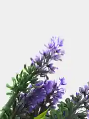 Аметистовый декор 2