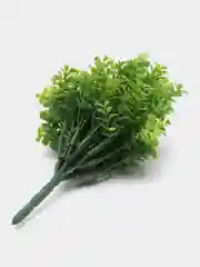 Зеленый декор 1