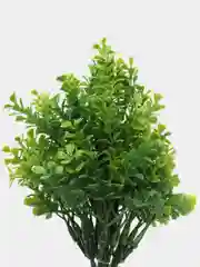 Зеленый декор 1