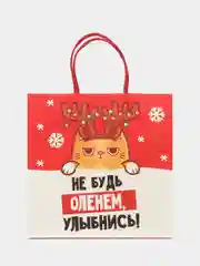 Коралловый пакет подарочный "С новым годом", 21 дизайн