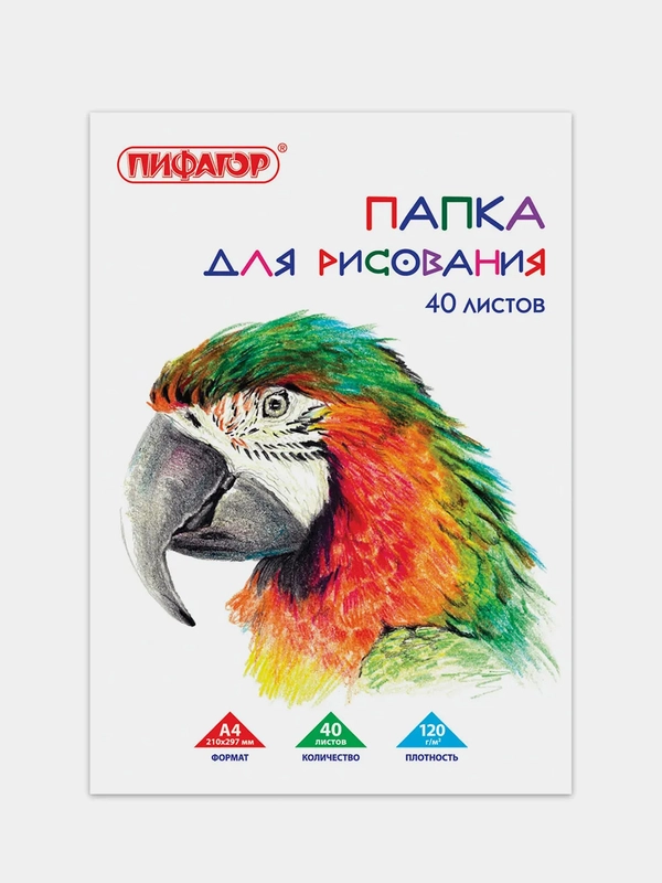 Папка для рисования А4 ПИФАГОР "Попугай", 40 листов