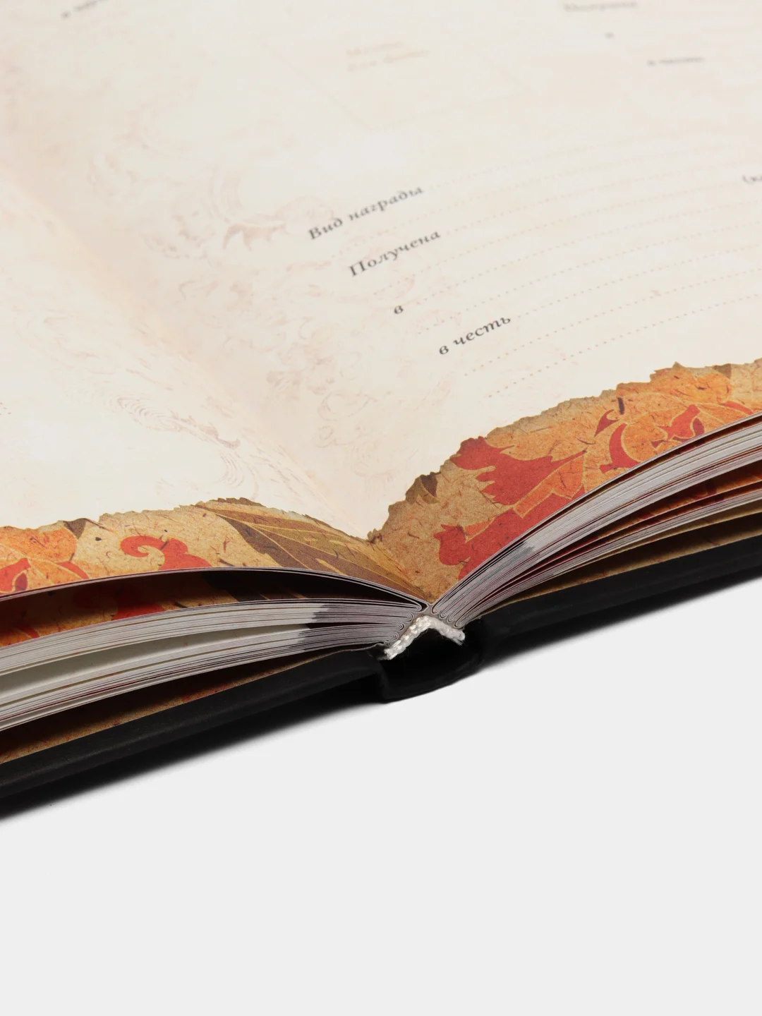 Родословная книга "Семейное древо", Ольга Юрченко