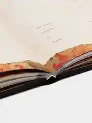 Родословная книга "Семейное древо", Ольга Юрченко