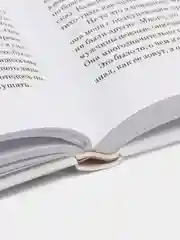 Цветы для Элджернона, Дэниел Киз