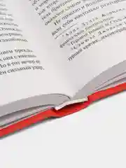 Хорошие жены, Луиза Мэй Олкотт