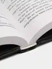 Как ты умрешь, Майк Омер