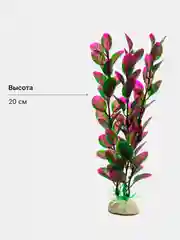 Лимонный растения декоративные для аквариума "Водоросли", 54 вида, 20-30 см