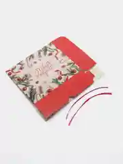 Мятный упаковка "Новогодняя коробка", 20 х 17 х 6 см