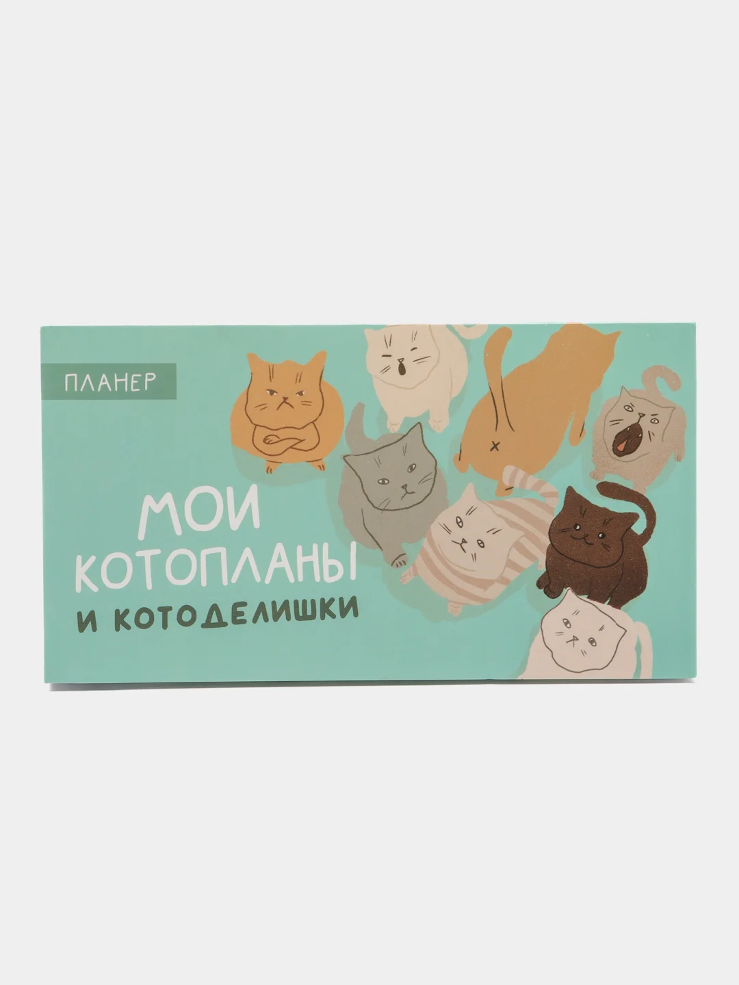 Бирюзовый планер с отрывными листами, 50 листов