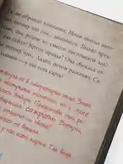 Маленькая злая книга 4, Магнус Мист
