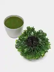 Зеленый цветы растение искусственное в горшке