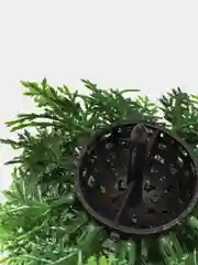 Лайм цветы растение искусственное в горшке