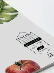 Папка с бумагой для сухих техник Малевичъ Graf'Art, 150 г/м, А3, 25 л