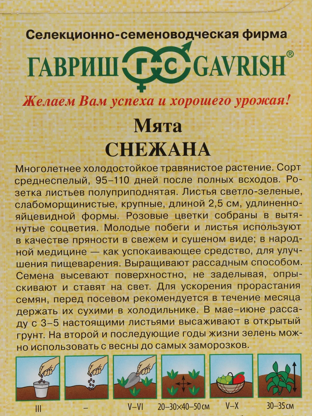 Семена "Мята Снежана"
