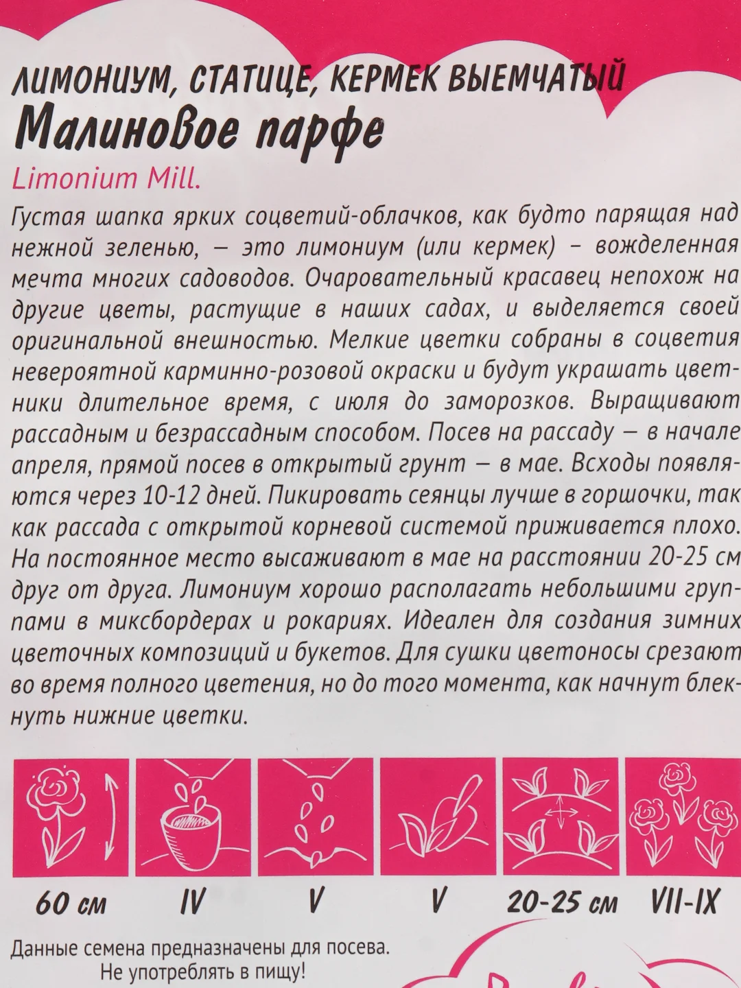 Семена цветов Лимониум "Малиновое парфе"