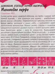 Семена цветов Лимониум "Малиновое парфе"