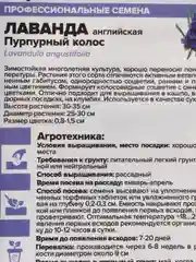 Семена цветов Лаванда "Пурпурный колос"