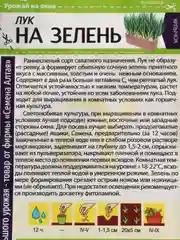 Лук на зелень (семена)