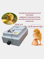 Инкубатор-автомат "Несушка", на 36 яиц, 220В/12В, терморегулятор, вентиляция, гигрометр