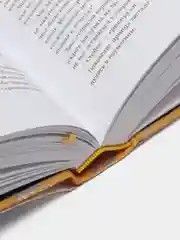 Благословение небожителей. Том 2, Мосян Тунсю