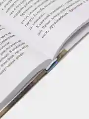 Доставляя счастье, Тони Шей