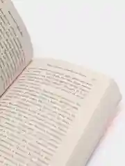 Жутко громко и запредельно близко, Джонатан Сафран Фоер