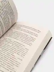 Объявлено убийство, Агата Кристи