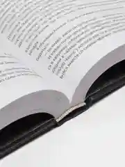 Будущее. Глуховский Д.А