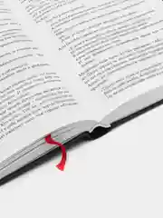ЧИТАЙ-УММА / Книга "Сад для отдыха разумных и отрада достойных"