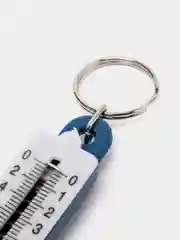 Синий безмен, домашние весы